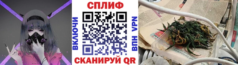 Купить где  Таруса  Канабис планчик 